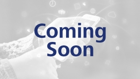 The Industrial Internet of Things and Industry 4.0